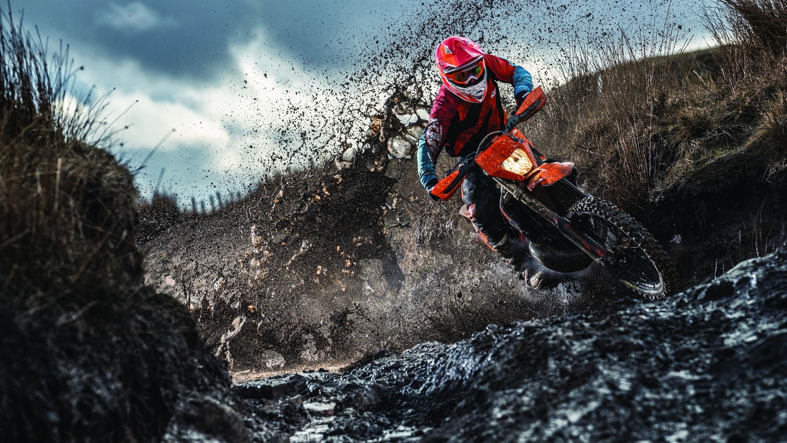 5连胜黑马狂奔!活塞125-107篮网,NBA最新排名出炉,篮网活塞比分